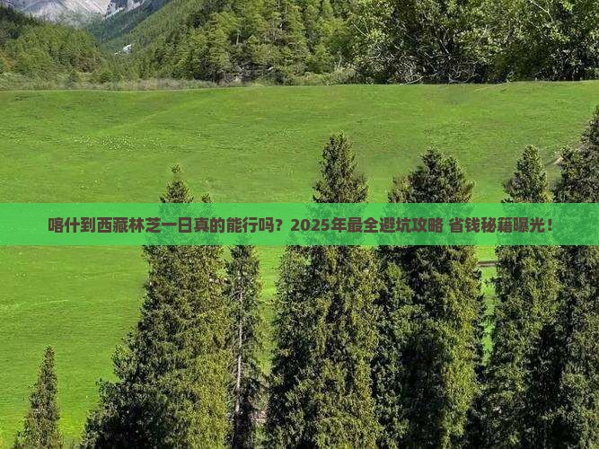 喀什到西藏林芝一日 喀什到西藏林芝一日