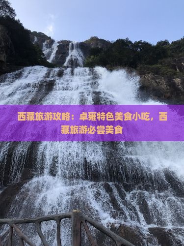 河池去西藏羊卓雍措旅游小吃