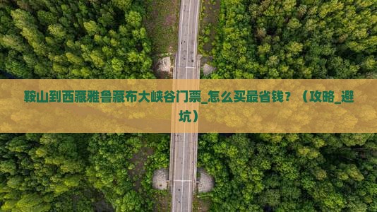 鞍山到西藏雅鲁藏布大峡谷门票