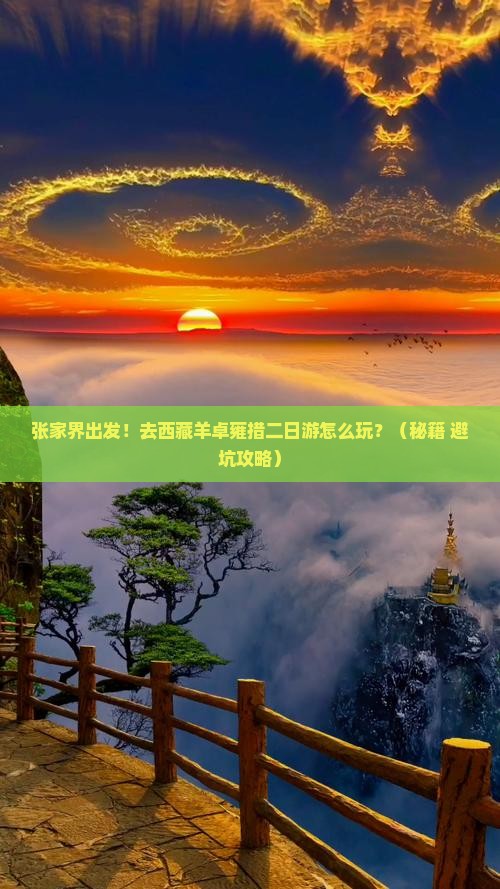 张家界去西藏羊卓雍措二日游