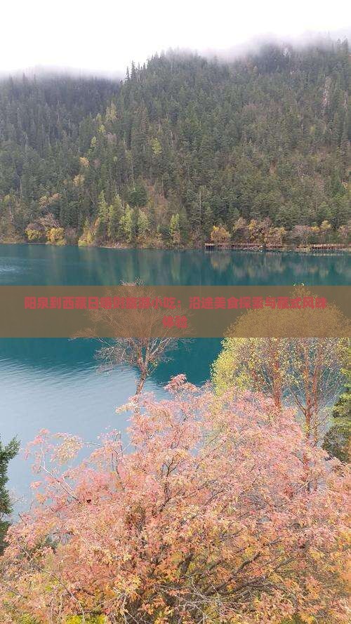 阳泉到西藏日喀则旅游小吃
