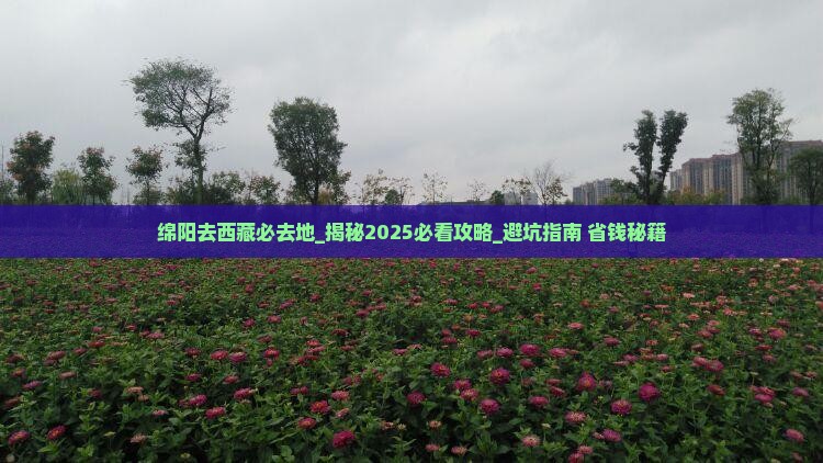 绵阳去西藏必去地