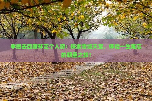 孝感去西藏林芝个人游