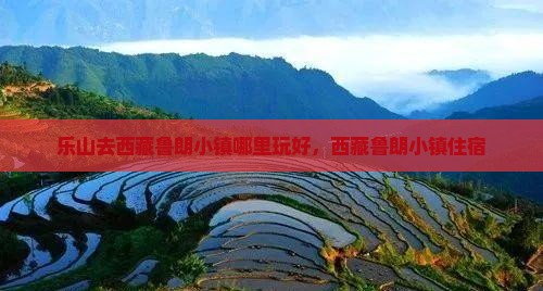 乐山去西藏鲁朗小镇哪里玩