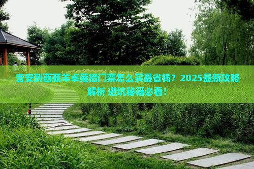 吉安到西藏羊卓雍措门票