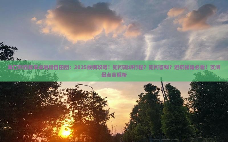 海口到西藏羊卓雍措自由团