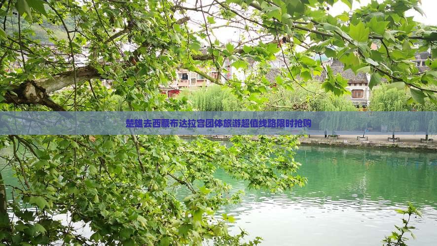 楚雄去西藏布达拉宫团体旅游
