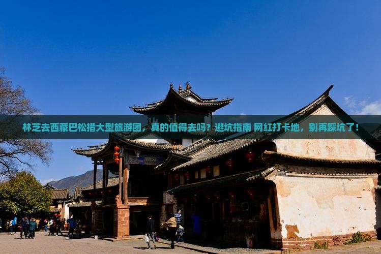 林芝去西藏巴松措大型旅游团
