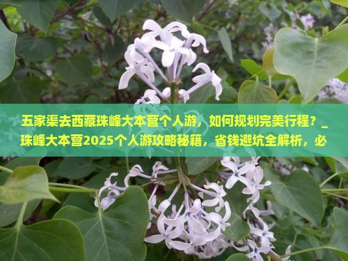 五家渠去西藏珠峰大本营个人游