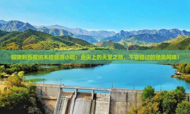 铜陵到西藏纳木措旅游小吃