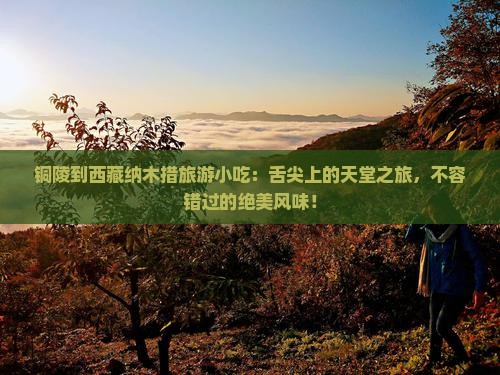 铜陵到西藏纳木措旅游小吃