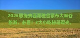 恩施去西藏雅鲁藏布大峡谷旅游小吃
