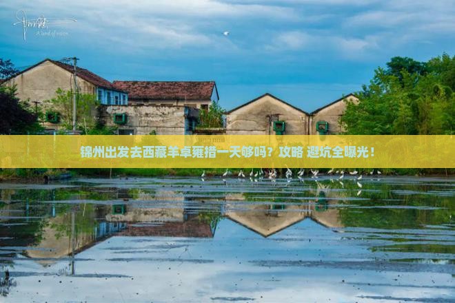锦州到西藏羊卓雍措一日