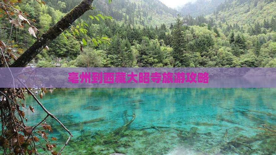 亳州到西藏大昭寺景点