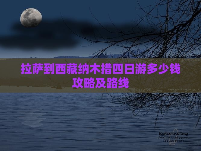拉萨到西藏纳木措四日游