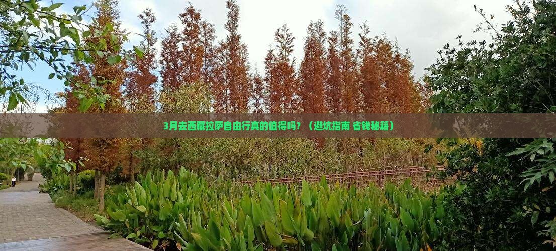 春天到西藏拉萨自由行