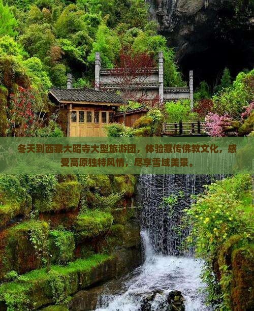冬天到西藏大昭寺大型旅游团