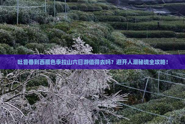 吐鲁番到西藏色季拉山六日游