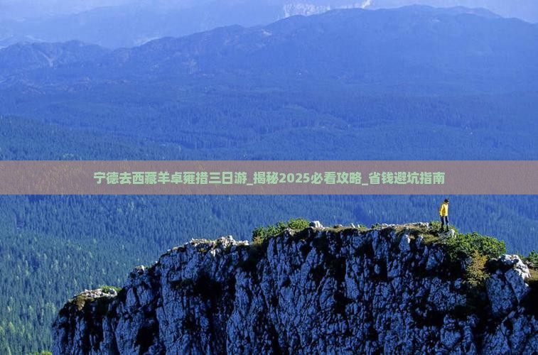 宁德去西藏羊卓雍措三日游