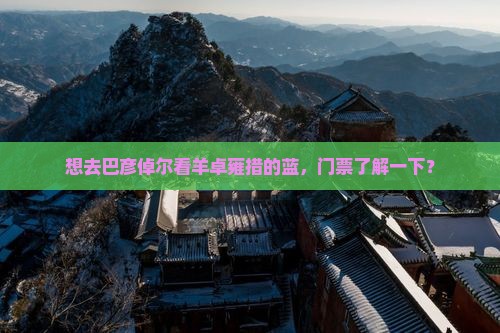 巴彦倬尔到西藏羊卓雍措门票