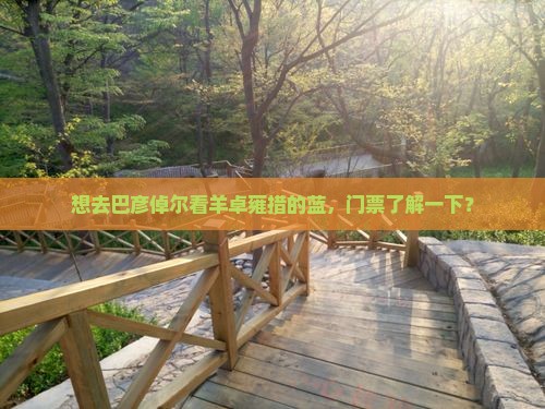 巴彦倬尔到西藏羊卓雍措门票