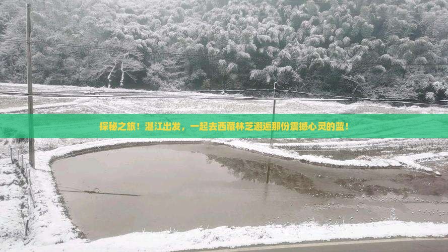 湛江到西藏林芝旅游