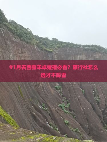 二月到西藏羊卓雍措旅行社