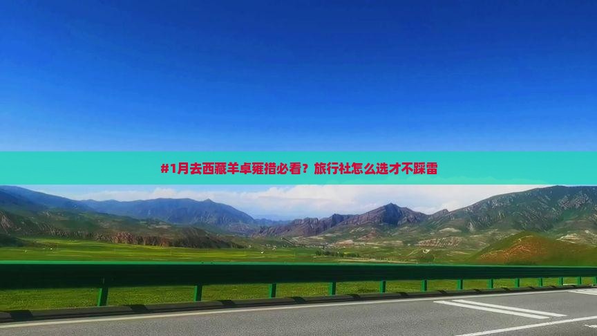 二月到西藏羊卓雍措旅行社