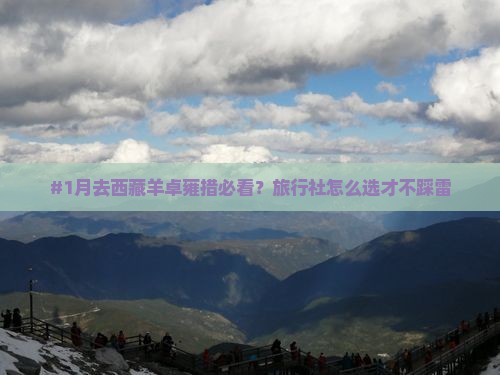 二月到西藏羊卓雍措旅行社