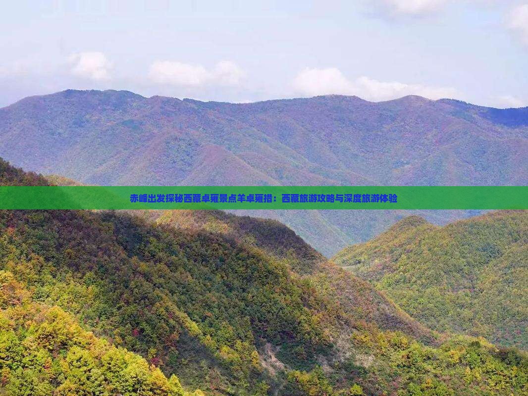 赤峰到西藏羊卓雍措团体旅游