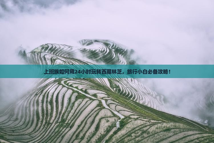 十堰去西藏林芝一日