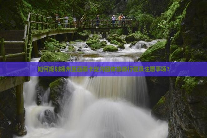 扬州去西藏卡定沟团体旅游