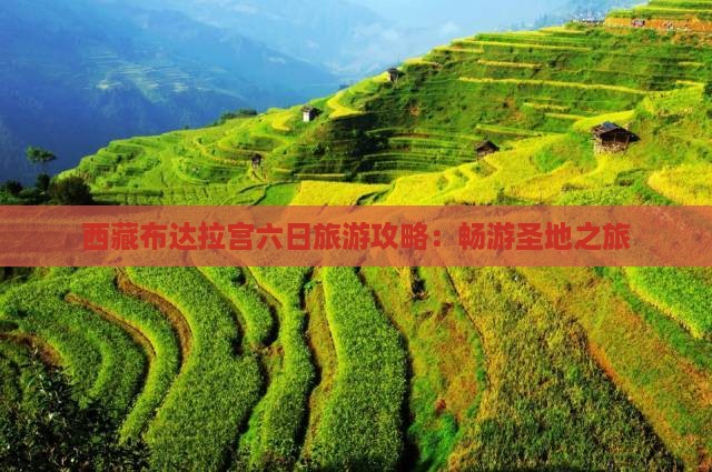春天去西藏布达拉宫六日游