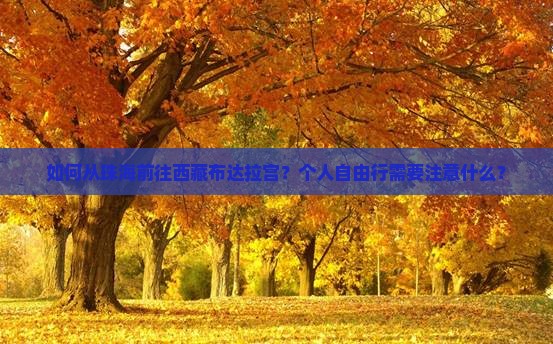 珠海到西藏布达拉宫个人游