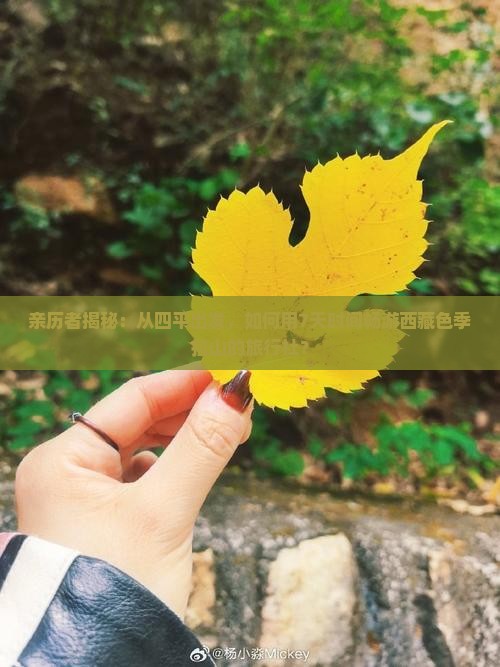 四平到西藏色季拉山旅行社