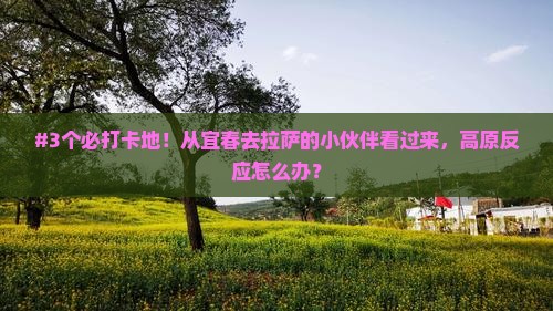 宜春到西藏拉萨攻略
