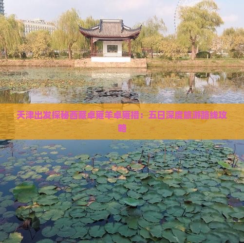 天津去西藏羊卓雍措五日游