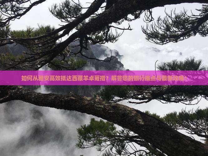 雅安到西藏羊卓雍措攻略