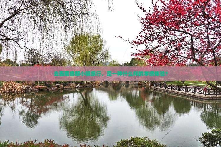 孝感到西藏鲁朗小镇旅游