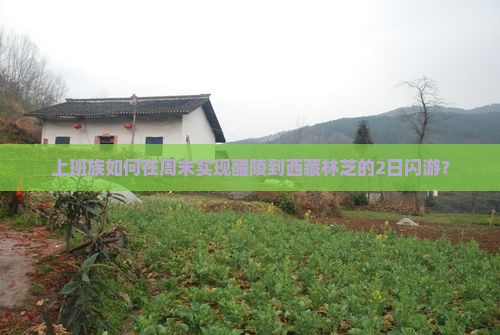 醴陵去西藏林芝二日游