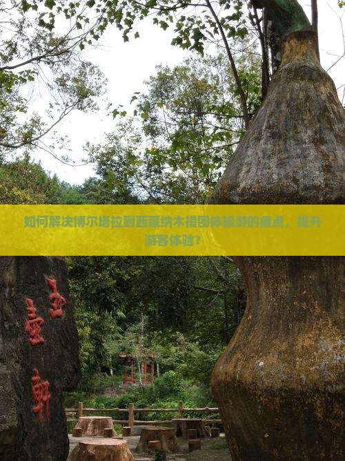 博尔塔拉到西藏纳木措团体旅游