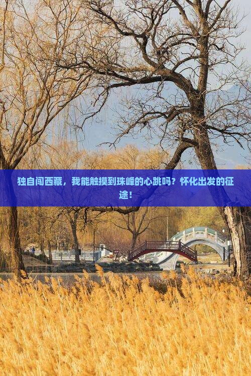 怀化去西藏珠峰大本营个人游