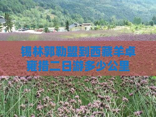 锡林郭勒盟到西藏羊卓雍措二日游