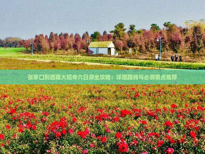 张家口到西藏大昭寺六日游