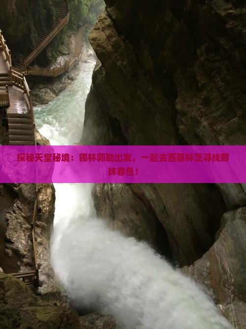 锡林郭勒盟去西藏林芝旅行社
