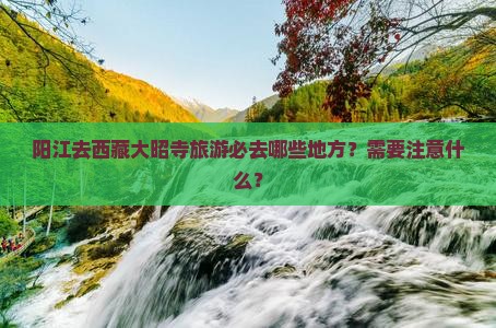 阳江去西藏大昭寺必去地