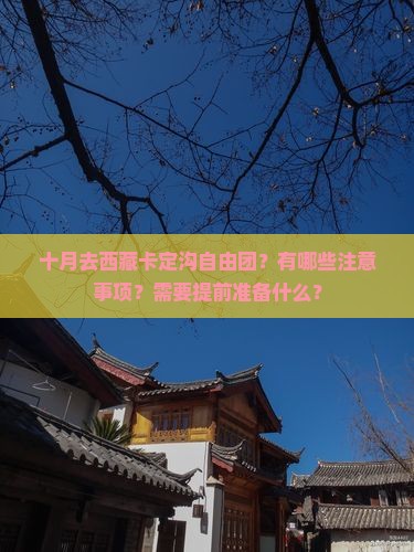 十月去西藏卡定沟自由团 十月去西藏卡定沟自由团