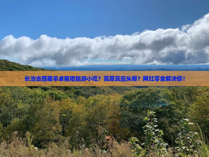 长治去西藏羊卓雍措旅游小吃