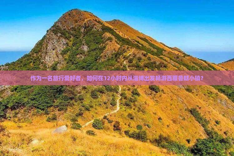 淄博去西藏鲁朗小镇一日 淄博去西藏鲁朗小镇一日