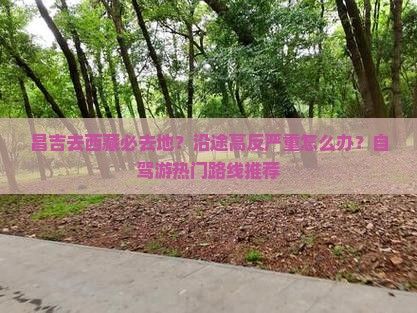 昌吉去西藏必去地